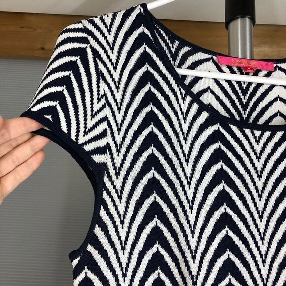 CATHERINE Malandrino Valerie Navy White ZigZag Knit Dress Sz‎ S - Picture 5 of 10